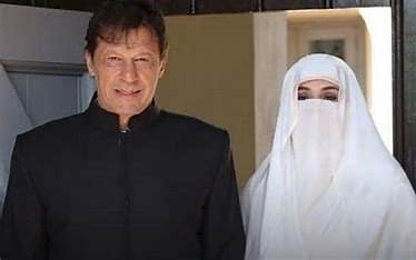 درخواست ضمانت منظور، رہا کرنے کا حکم