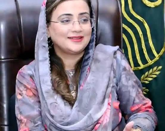 امریکی غلامی کیخلاف جنگ لڑنے والے امریکی جھنڈا اٹھا کر آزادی حاصل کر رہے ہیں:عظمیٰ بخاری