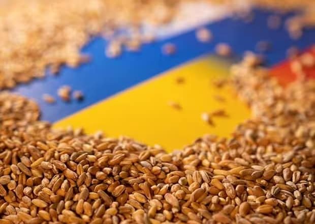 ودہولڈنگ ٹیکس کیخلاف غلہ منڈیوں کی ہڑتال