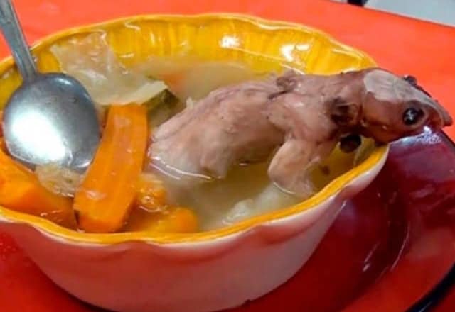 میکسیکو میں”چوہے”کا سوپ