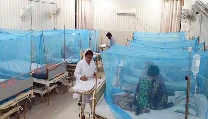 پنجاب میں ڈینگی کے مزید 10 کیسز رپورٹ