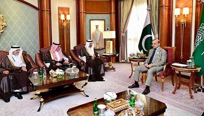 وزیر اعظم کی سعودی وزیر سرمایہ کاری سے ملاقات