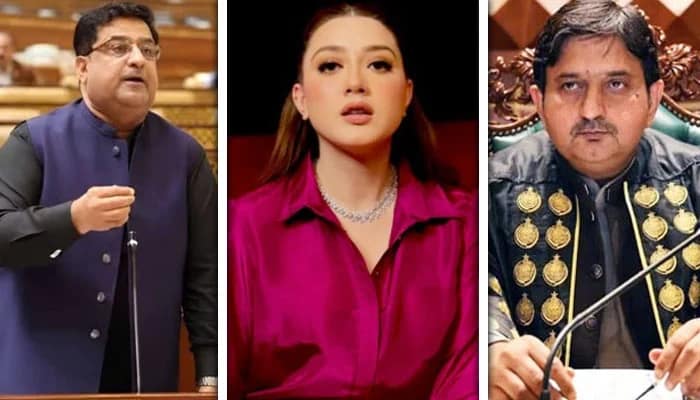 مومنہ اقبال کیخلاف توہین آمیز ریمارکس، اسپیکر پنجاب اسمبلی کا سخت نوٹس