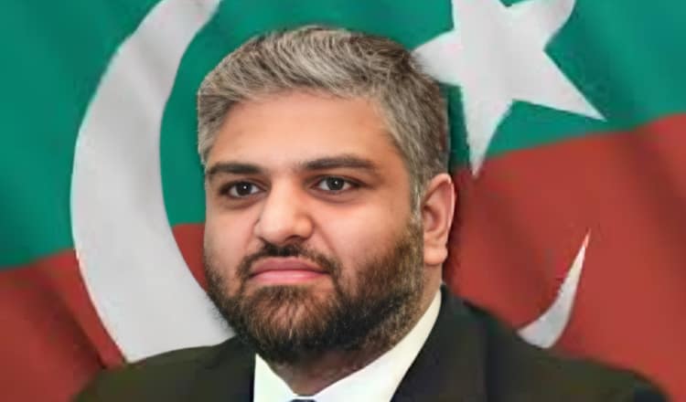 زین قریشی ڈپٹی پارلیمانی لیڈر کے عہدے سے مستعفی