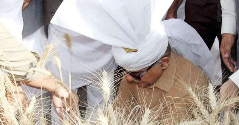 وزیراعظم کاکسانوں سے گندم کی فوری خریداری کا حکم