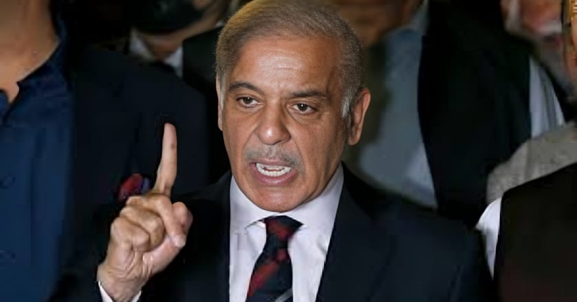 شہباز شریف مسلم لیگ (ن) کے قائم مقام صدر نامزد