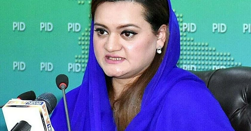 پنجاب میں ’سے نو ٹو پلاسٹک‘ مہم کا 5 جون سے آغاز