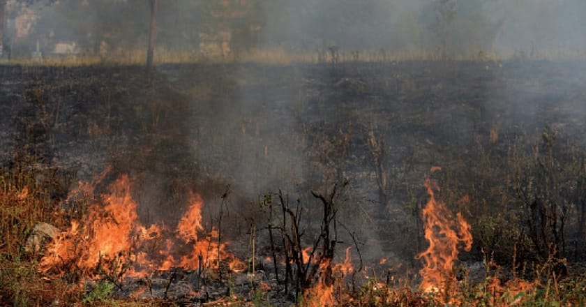 پہاڑی علاقوں میں دوبارہ آتشزدگی