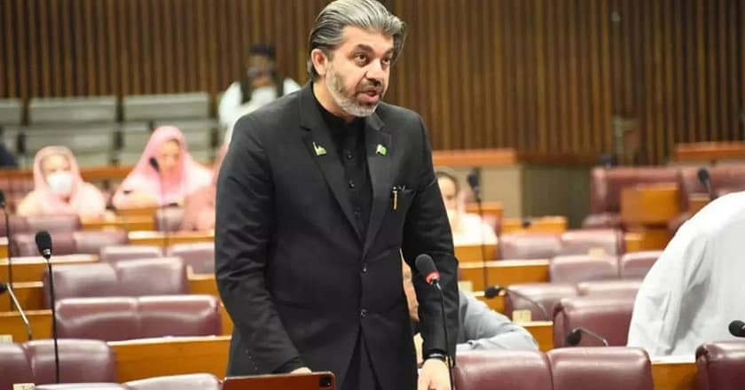 پاکستانیوں کو اپنا ہی جشنِ آزادی نہیں منانے دیا گیا: علی محمد خان