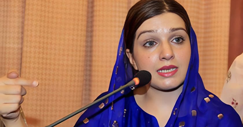 مقبوضہ کشمیر میں انسانی حقوق کی خلاف ورزیاں ہو رہی ہیں،مشعال ملک