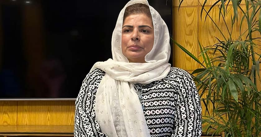 سوشل میڈیا پر نجی کالج کے حوالے سے جعلی ماں بن کر پراپیگنڈا کرنیوالی خاتون گرفتار