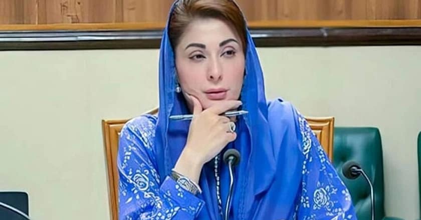 پی ٹی آئی کا مقصد ملکی ترقی روکنا ہے، مریم نواز