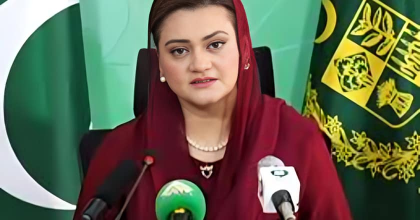 اوورسیز پاکستانیوں نے سول نافرمانی کی کال مسترد کر دی: مریم اورنگزیب