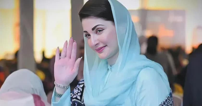 پنجاب میں سڑکوں کی تعمیر و مرمت مکمل کرنے کا حکم