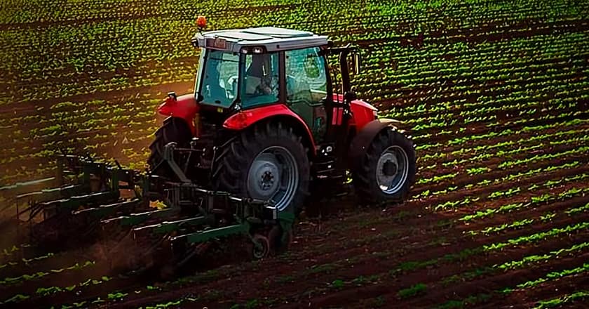 پنجاب حکومت کا بڑا فیصلہ، کسانوں کیلئے اچھی خبر