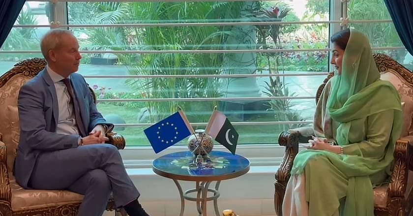 مریم نواز سے یورپی یونین کے خصوصی نمائندہ برائے انسانی حقوق کی ملاقات