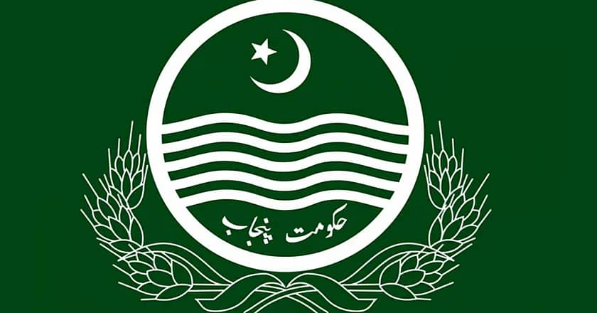 پنجاب ڈیولپمنٹ پروگرام نافذ کرنے کا فیصلہ
