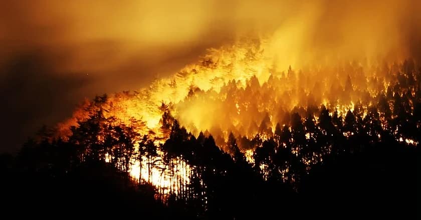 جاپان: نصف صدی کی بدترین جنگل کی آگ بے قابو، 1 شخص ہلاک