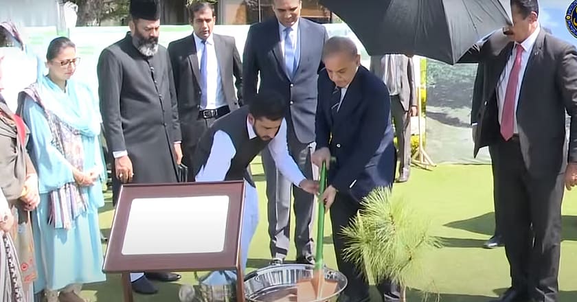 وزیراعظم نے موسم بہار 2025 کی شجرکاری مہم کا آغاز کر دیا