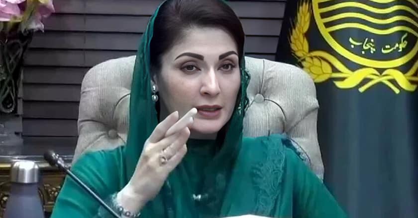 درخت لگائیں اور اسموگ کے اندھیرے مٹائیں: مریم نواز