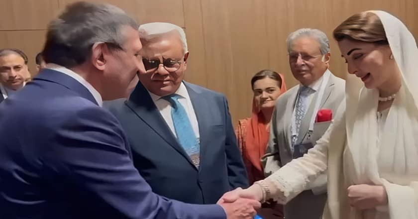 مریم نواز کی نائب صدر ترکیہ سے ملاقات، معاشی شراکت داری کے فروغ پر اتفاق