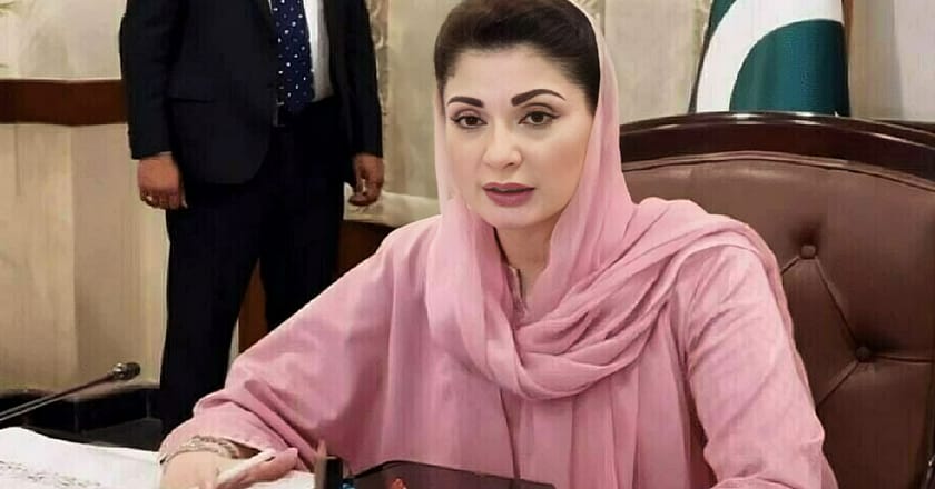 زمین صرف ہماری نہیں، آنے والی نسلوں کی بھی امانت ہے: مریم نواز