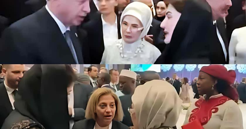 مریم نواز کی ترکیہ کے صدر رجب طیب اردوان سے ملاقات